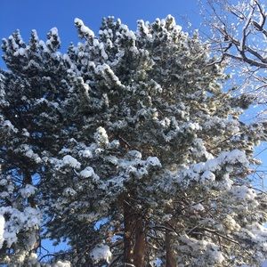 Meet your Posher, Anastasiia